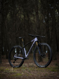An Alma Orca bicycle in a forest.